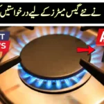 SNGC Opens Applications for New Gas Meters: Step-by-Step Guide
