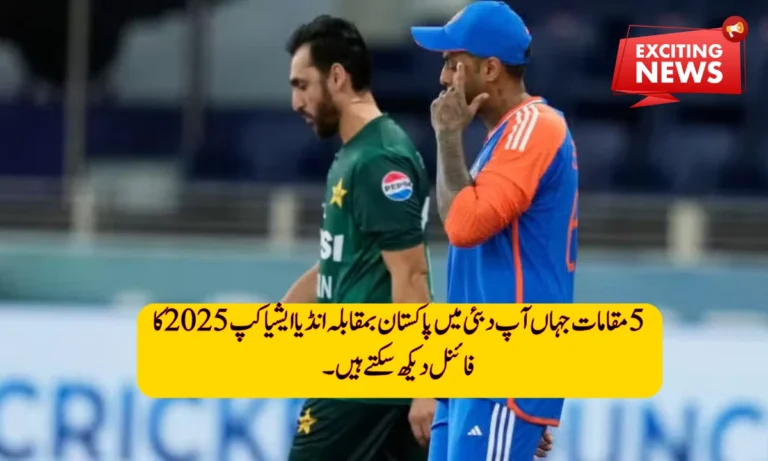 Top 5 Places to Watch Pakistan vs India Asia Cup Final in Dubai