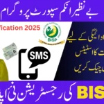 BISP 8171 Payment Alert 2025 – Verify Your Status Online Instantly