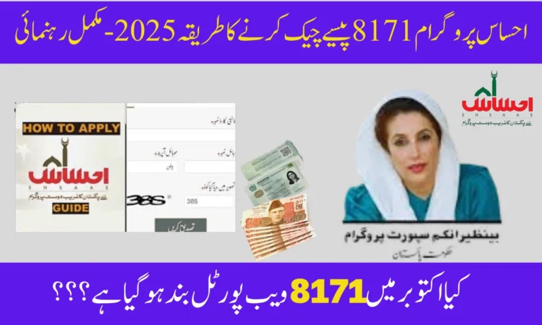 احساس پروگرام 8171 پیسے چیک کرنے کا طریقہ 2025 – مکمل رہنمائی