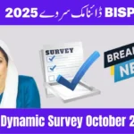 BISP Dynamic Survey 2025: Registration, Documents & Process