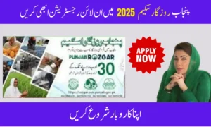 CM Punjab Rozgar Scheme 2025: Easy Online Registration & Loan Guide