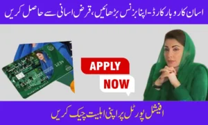CM Punjab Asaan Karobar Card 2025 – Apply Online & Check Status at akc.punjab.gov.pk