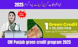 CM Punjab Green Credit Program 2025 – Earn Up to Rs 100,000 by Going Green
