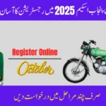 How to Register for CM Punjab Scheme 2025?