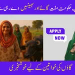 Punjab Launches Livestock Program: Free Cows & Buffaloes for Women in 12 Districts