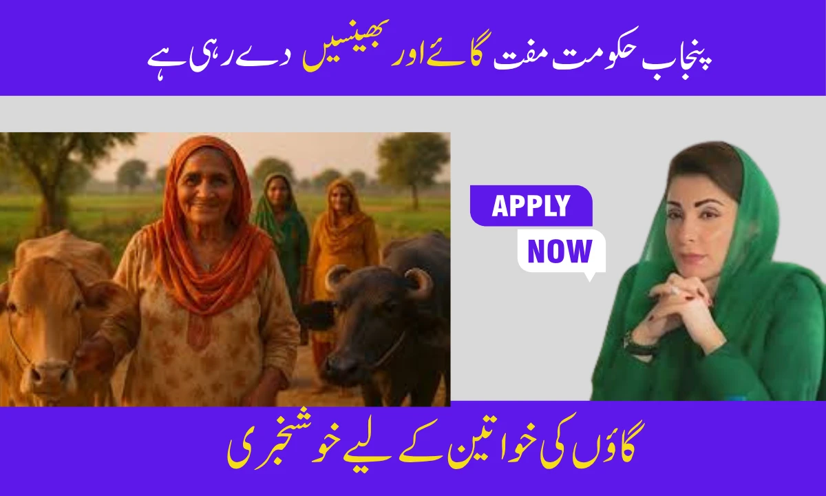 Punjab Launches Livestock Program: Free Cows & Buffaloes for Women in 12 Districts