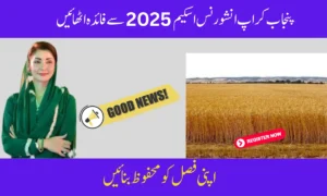 Gloves Manufacturing Training 2025: Free Skills Program for Pakistani Youth