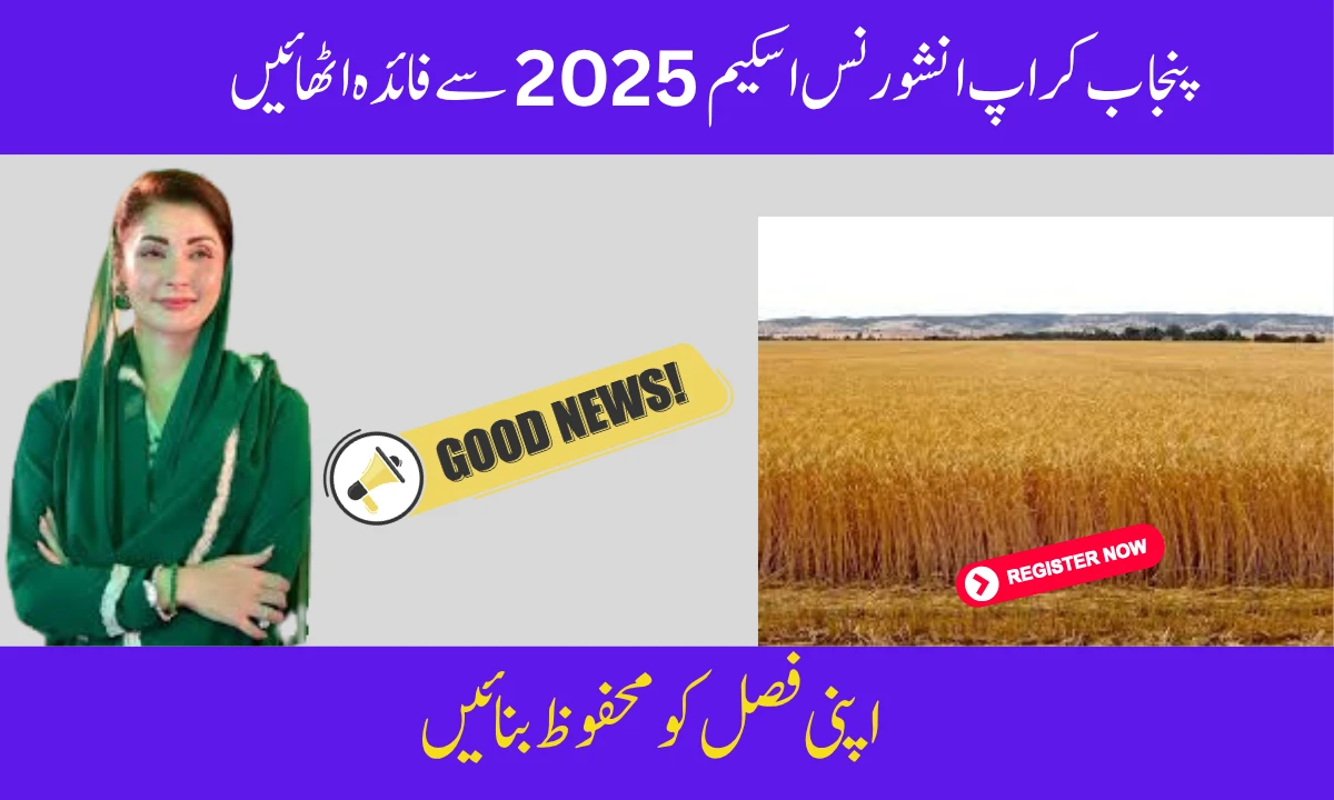 Gloves Manufacturing Training 2025: Free Skills Program for Pakistani Youth