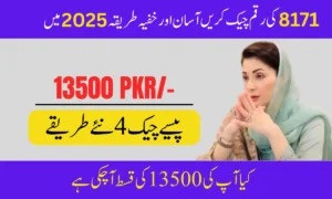 BISP 8171 Payment Discreetly in 2025: Easy Online & SMS Check Guide