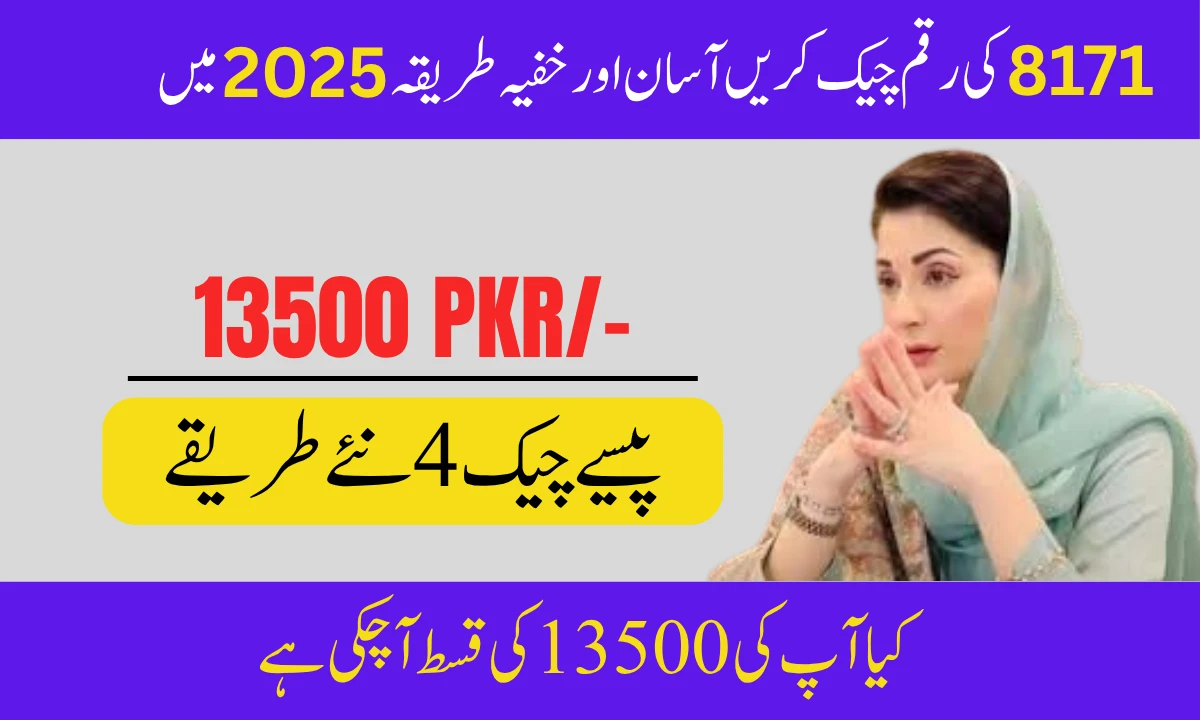 BISP 8171 Payment Discreetly in 2025: Easy Online & SMS Check Guide