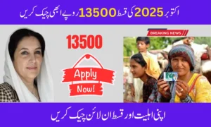BISP 8171 New Payment October2025: Rs 13,500 Online Check & Latest Update