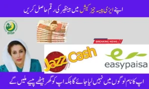 How to Receive BISP 8171 Payment 25000 in Easypaisa & JazzCash Without Showing Your Name Publicly
