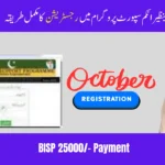 ستمبر 2025 بے نظیر انکم سپورٹ پروگرام میں رجسٹریشن کا مکمل طریقہ کار