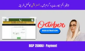 ستمبر 2025 بے نظیر انکم سپورٹ پروگرام میں رجسٹریشن کا مکمل طریقہ کار