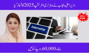 CM Punjab Launches Veterinary Internship 2025 – Earn Rs.60,000 Monthly