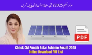 Check CM Punjab Solar Scheme Result 2025 Online – Download PDF List