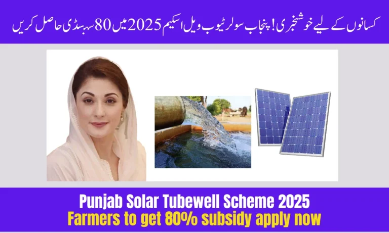 Punjab Solar Tubewell Scheme 2025: Farmers to Get 80% Subsidy – Apply Now