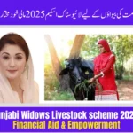 Punjab Widows Livestock Scheme 2025 – Financial Aid & Empowerment