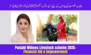 Punjab Widows Livestock Scheme 2025 – Financial Aid & Empowerment