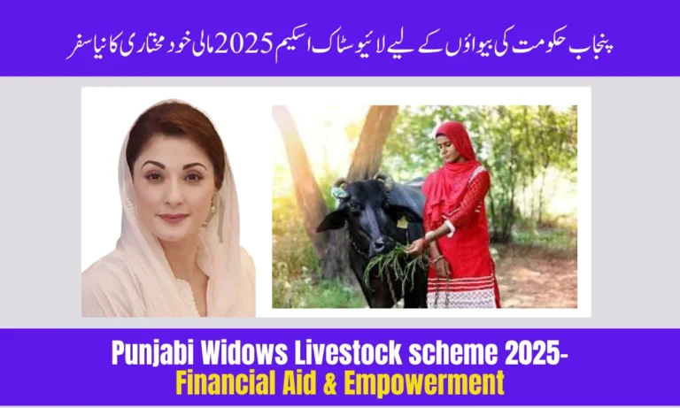 Punjab Widows Livestock Scheme 2025 – Financial Aid & Empowerment