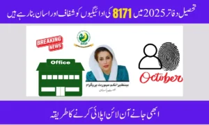 How Tehsil Offices Help Distribute BISP Payments Across Pakistan in 2025