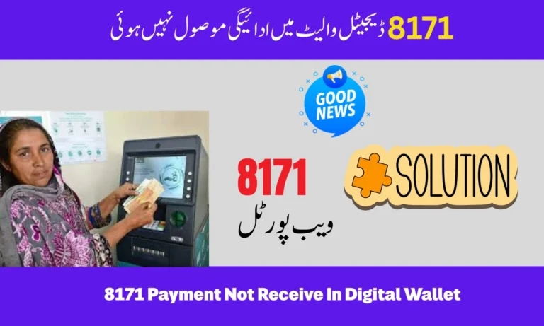 8171 Payment Not Receive in Digital Wallet – How to Fix Issue in 2025